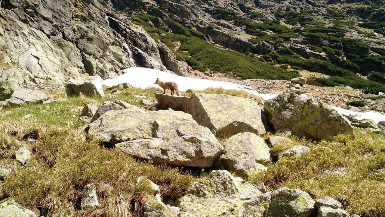 Apartment Lucy - Primo Tatry Stary Smokovec Vysoke Tatry Luaran gambar